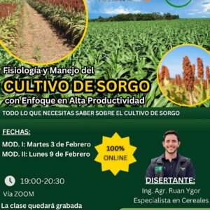 Fisiología y Manejo del CULTIVO DE SORGO con Enfoque en Alta Productividad