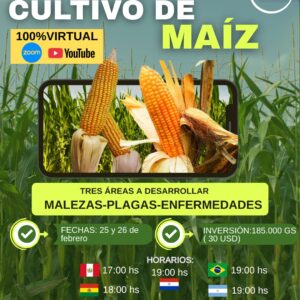 CURSO INTENSIVO CULTIVO DE MAÍZ